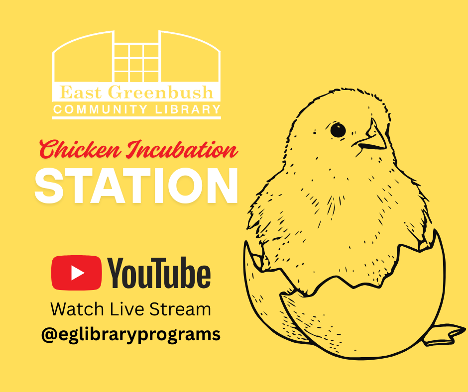 Chicken incubation station live stream on library YouTube at eglibraryprograms